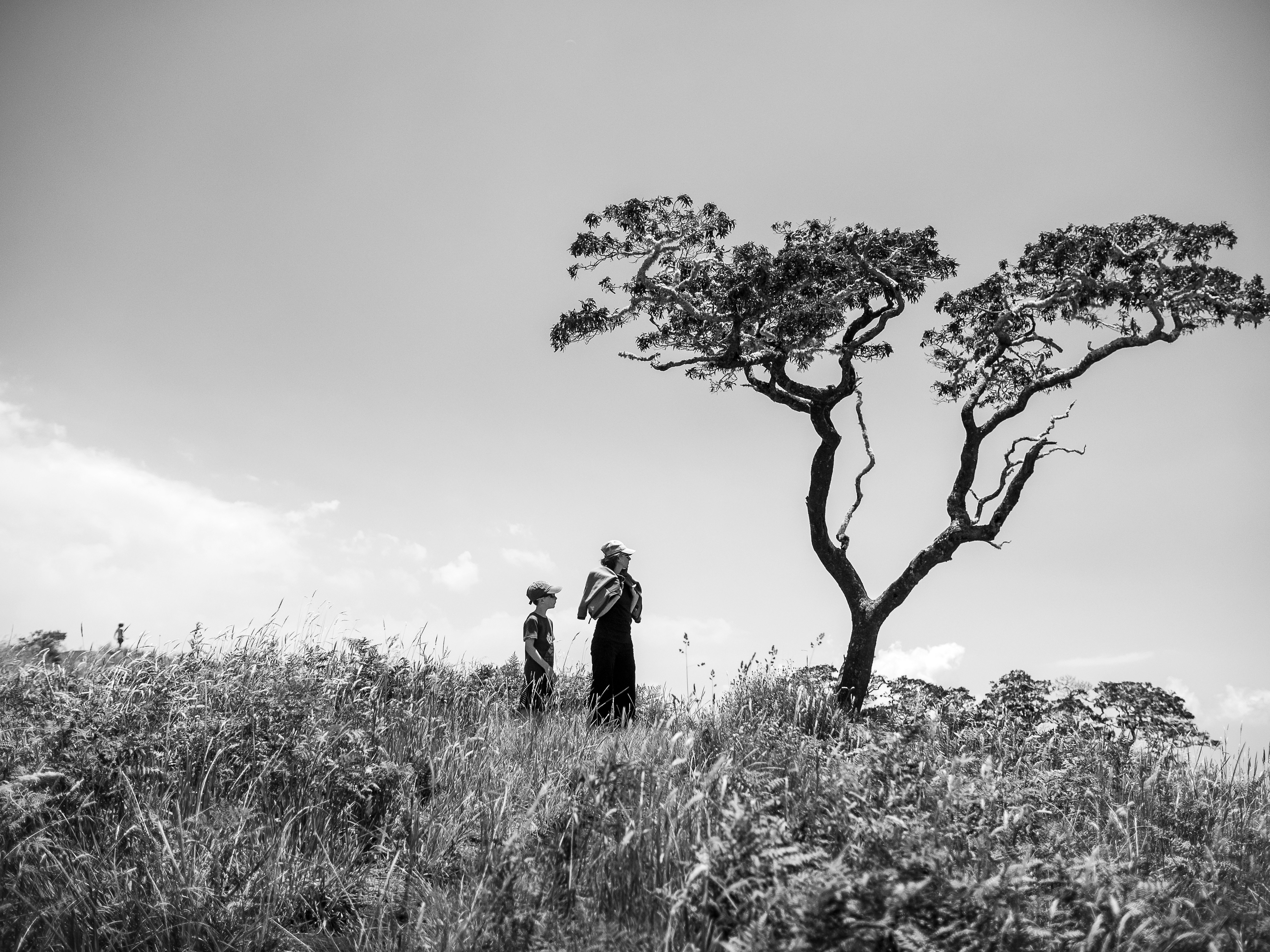 man and woman standing on grass field near tree during daytime