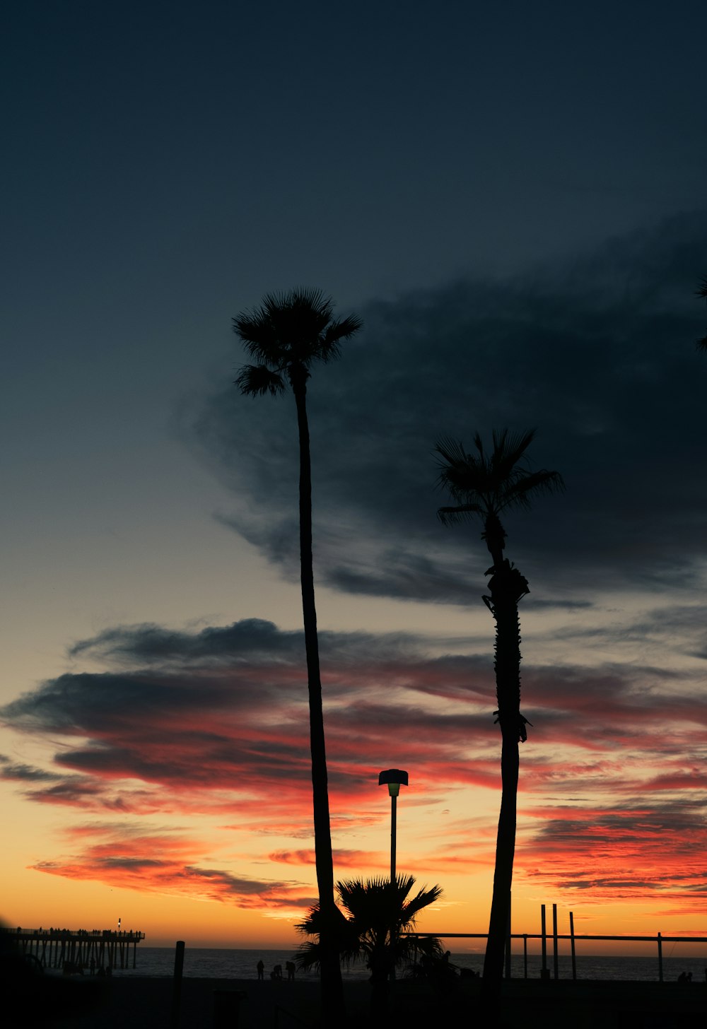 Palme unter bewölktem Himmel bei Sonnenuntergang