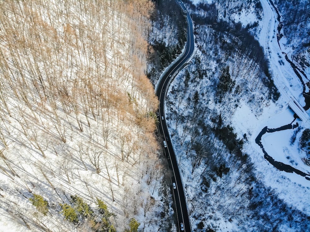 aerial view of road between trees