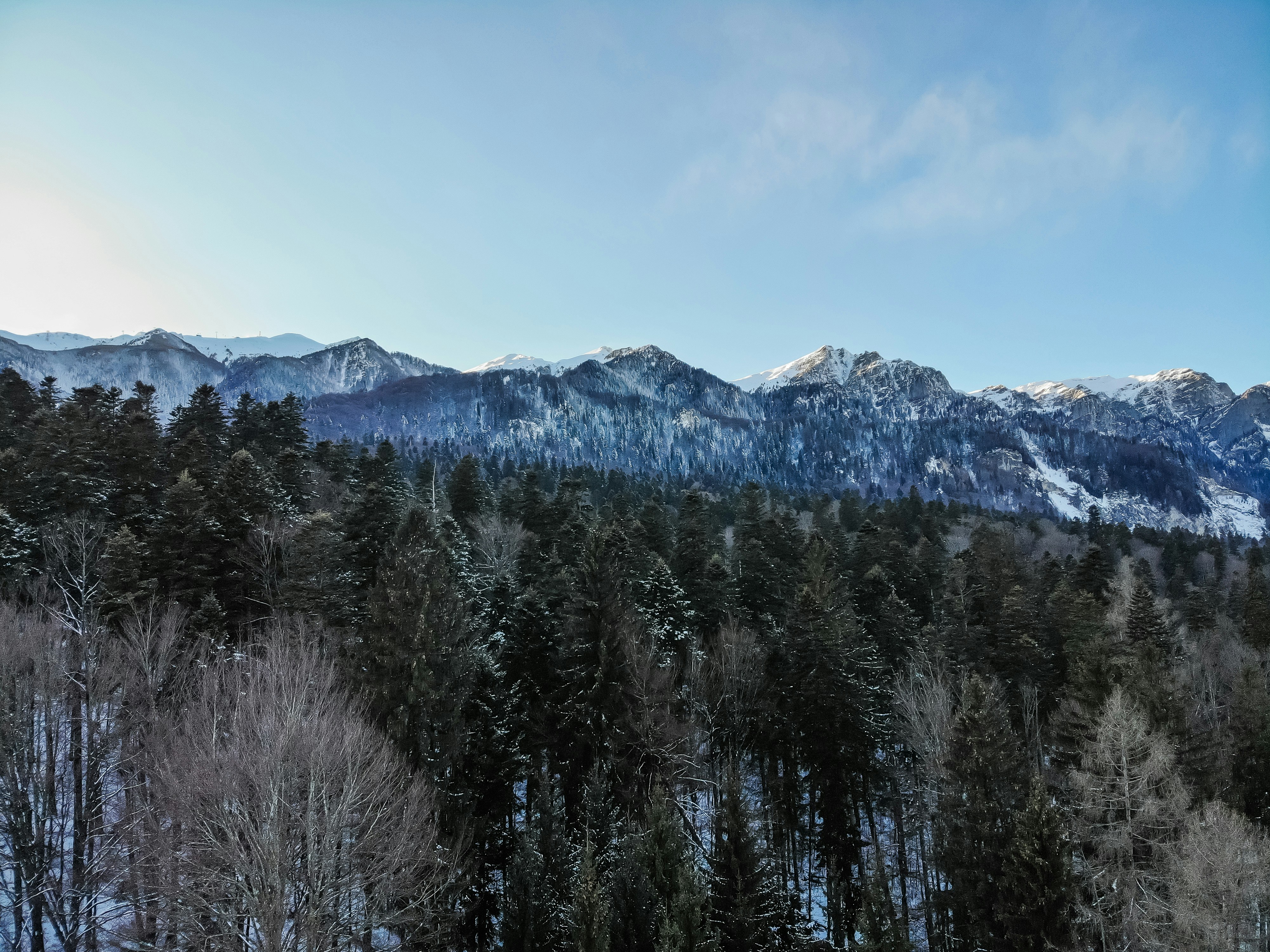 Photo by framesforyourheart