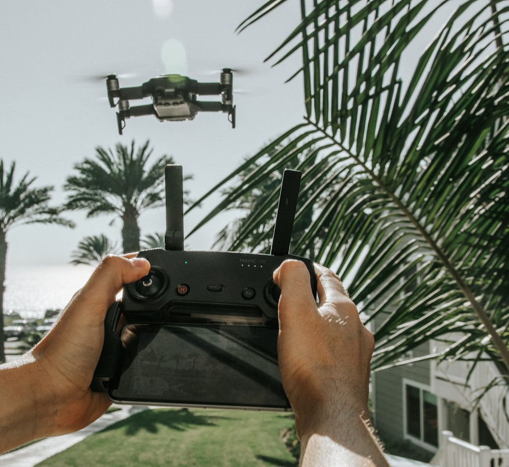 person holding black smartphone taking photo of green palm tree during daytime