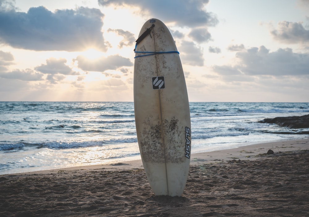 white and blue surfboard on beach shore during daytime