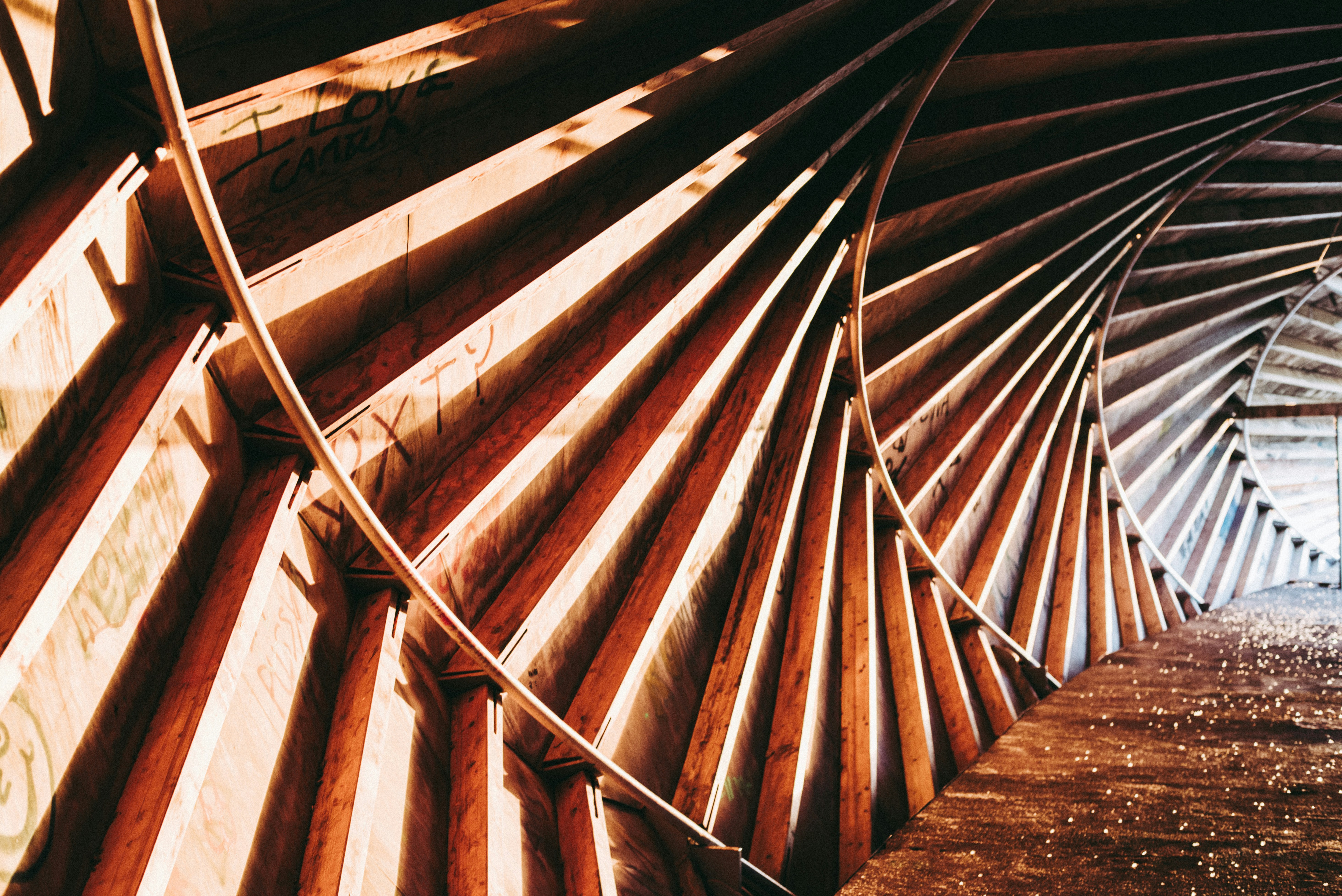 Photo by framesforyourheart