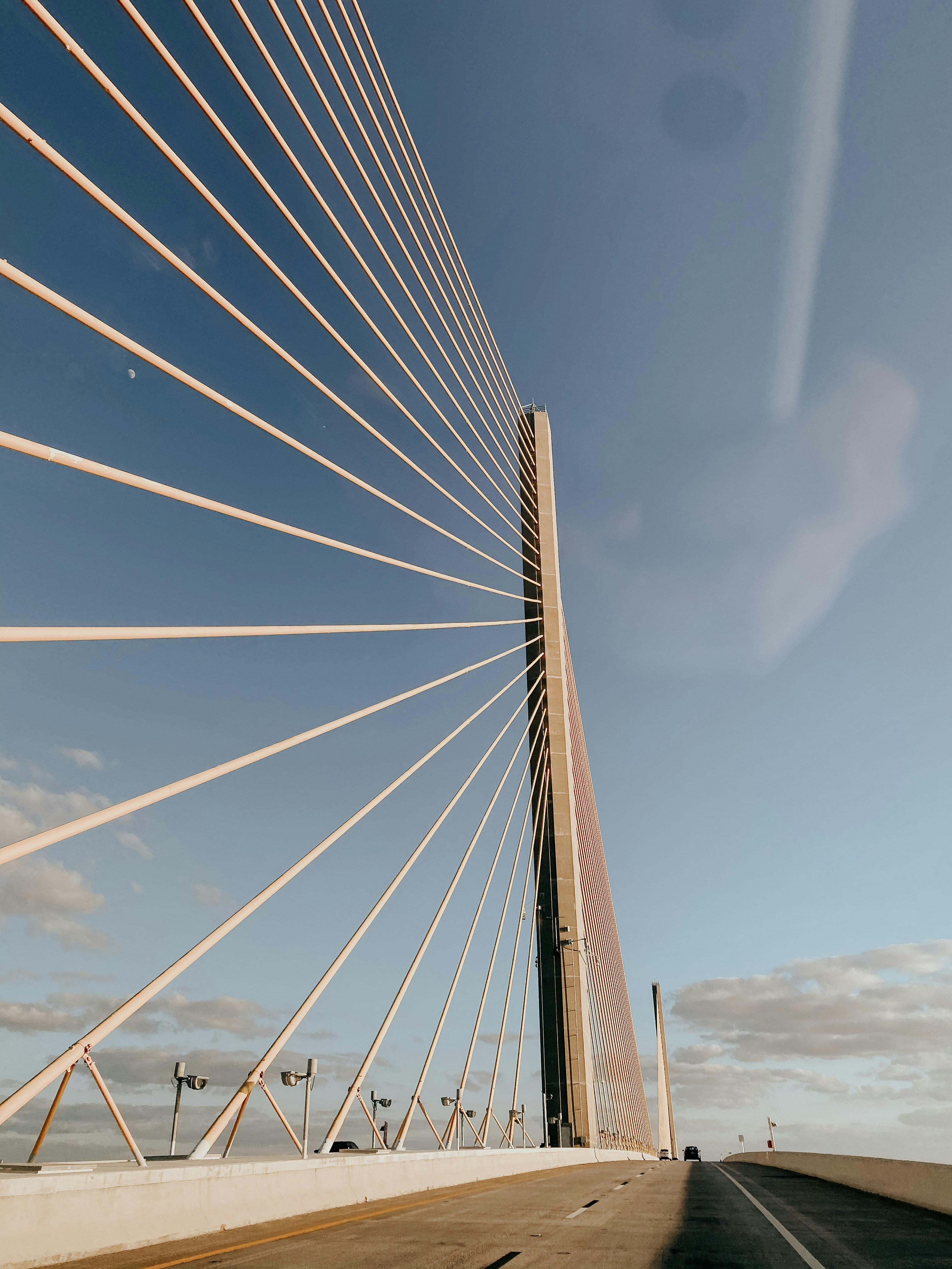 Photo by thewildflowerpress