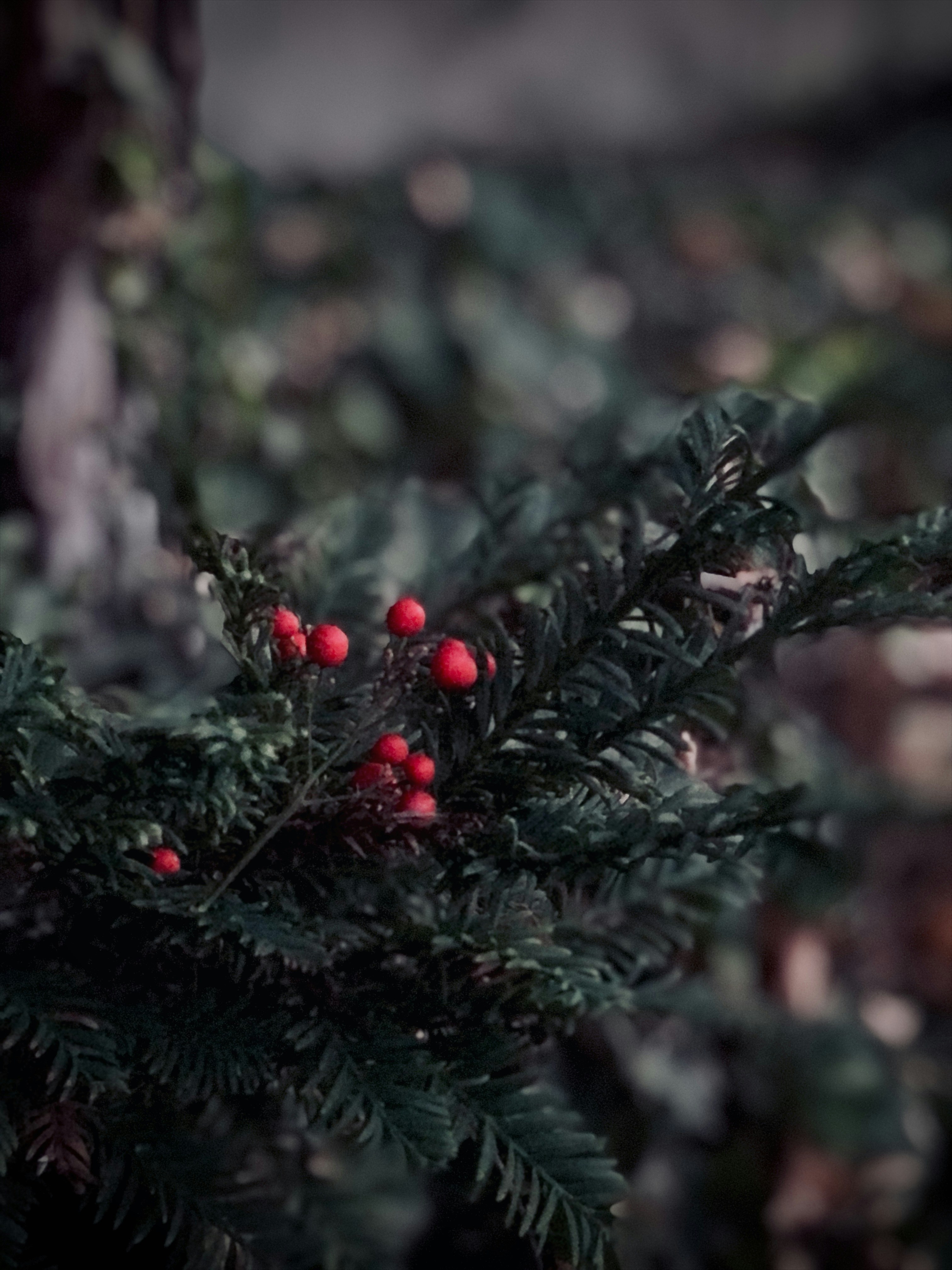 Photo by photography_yeti