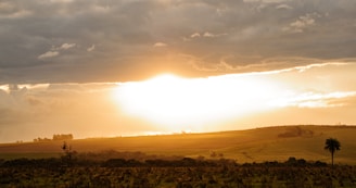 A sweeping landscape shot of a golden sunset over rolling hills.