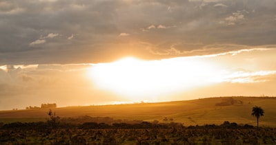 Sunset over rolling hills with scattered trees and open fields.