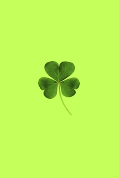 green and black leaves illustration