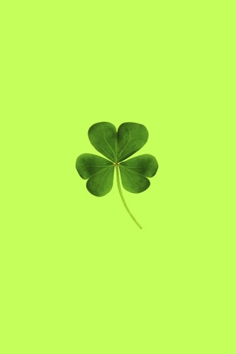green and black leaves illustration