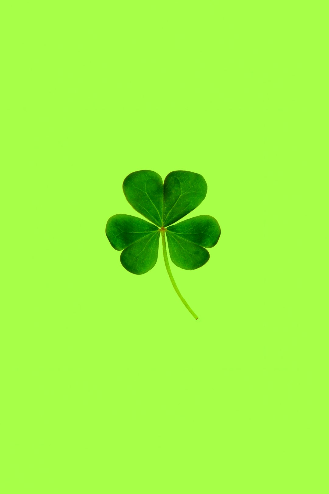 green four-leaf clover on neon green background.   It's the best of luck!