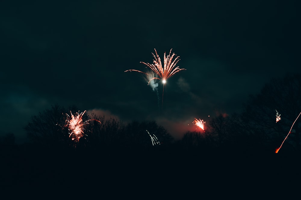 fireworks display during night time