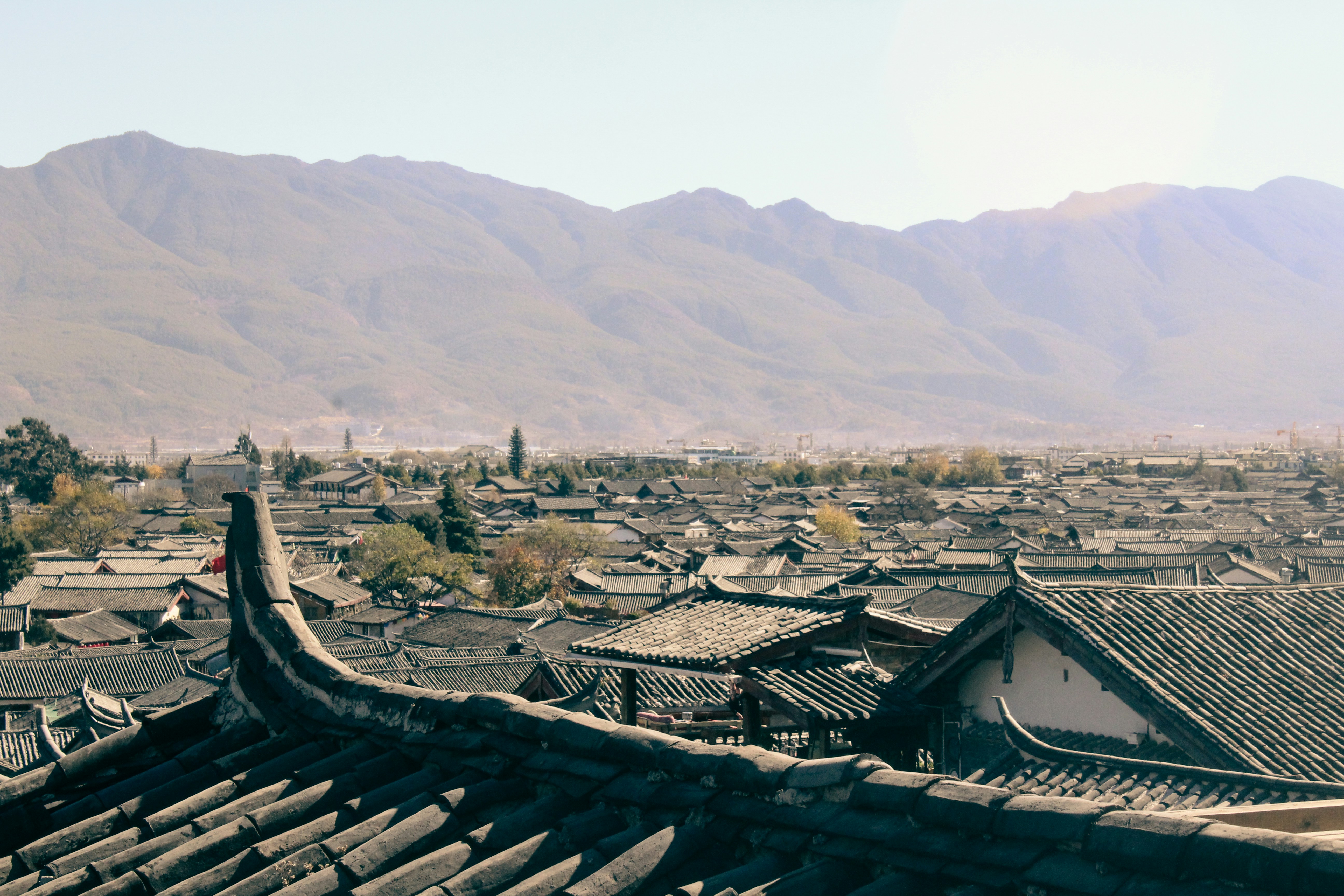 aerial view of city during daytime