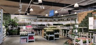 A well-organized store section filled with a diverse array of potted plants and flowers. The display includes tall green plants, colorful flowers, and various sizes of plant pots. Shelves along the walls hold additional plants and decorative greenery. Overhead, industrial lighting fixtures are visible, highlighting the vibrant colors of the plants below.