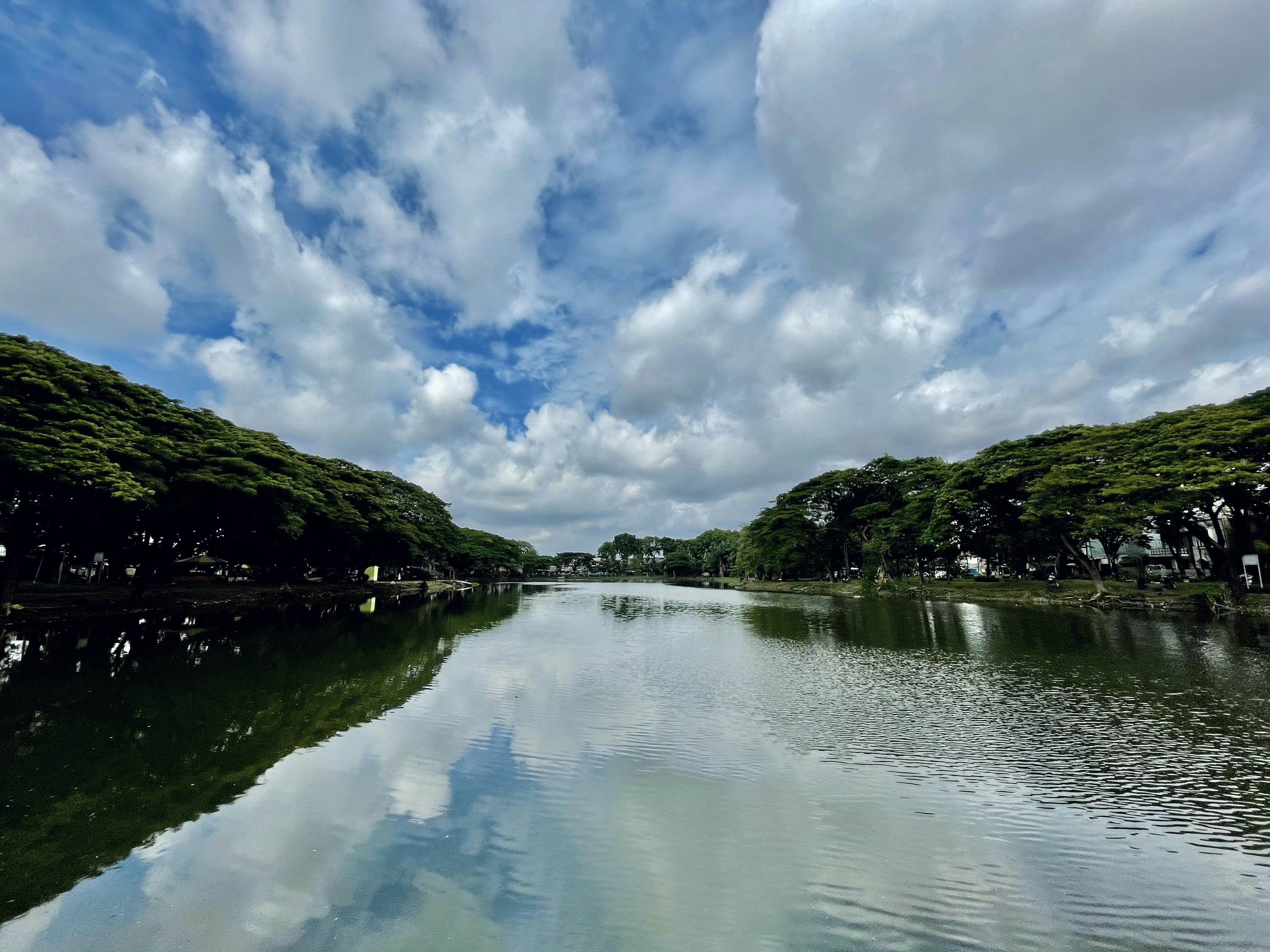 green trees beside body of water under blue sky and white clouds during daytime
