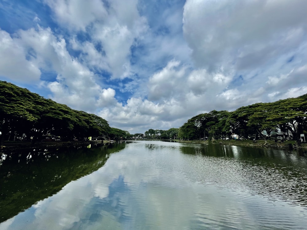 昼間は青空と白い雲の下、水辺の緑の木々