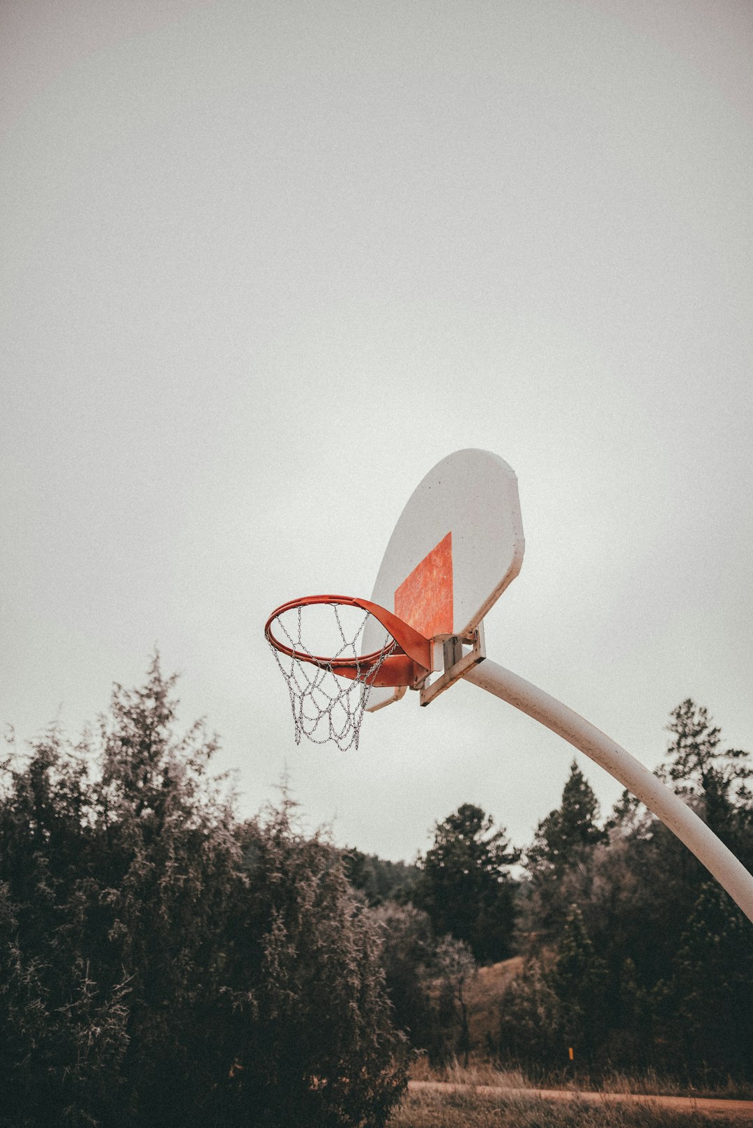 basketball hoop with basketball hoop