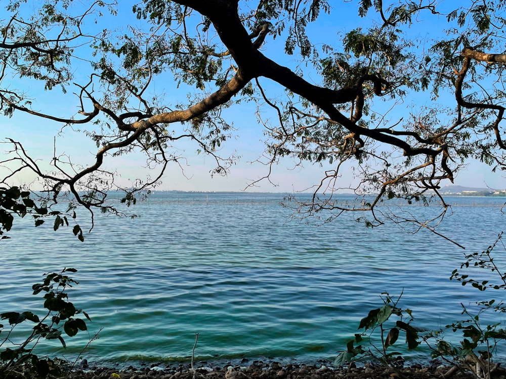 corpo de água sob o céu azul durante o dia