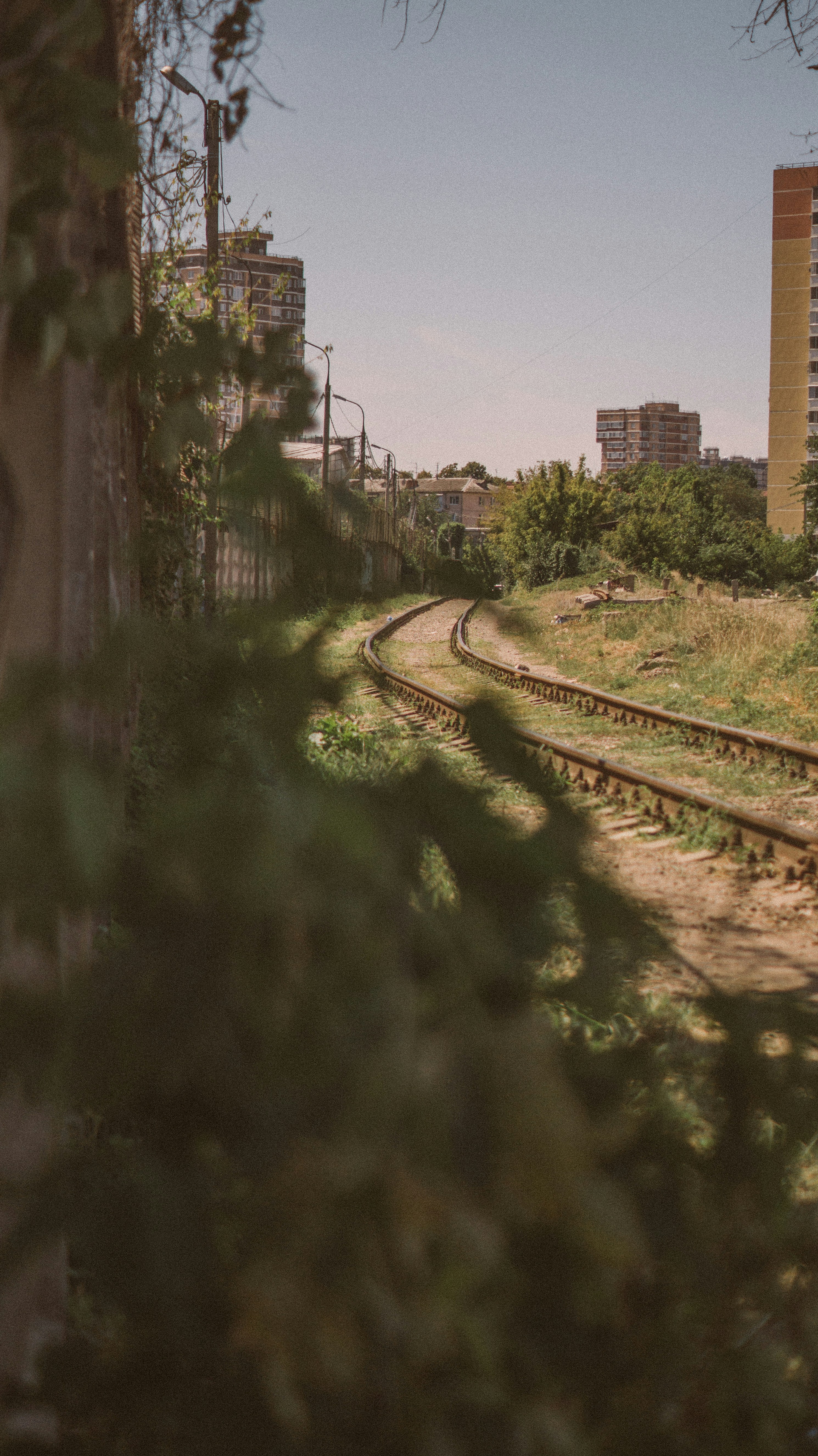 Photo by lisoview