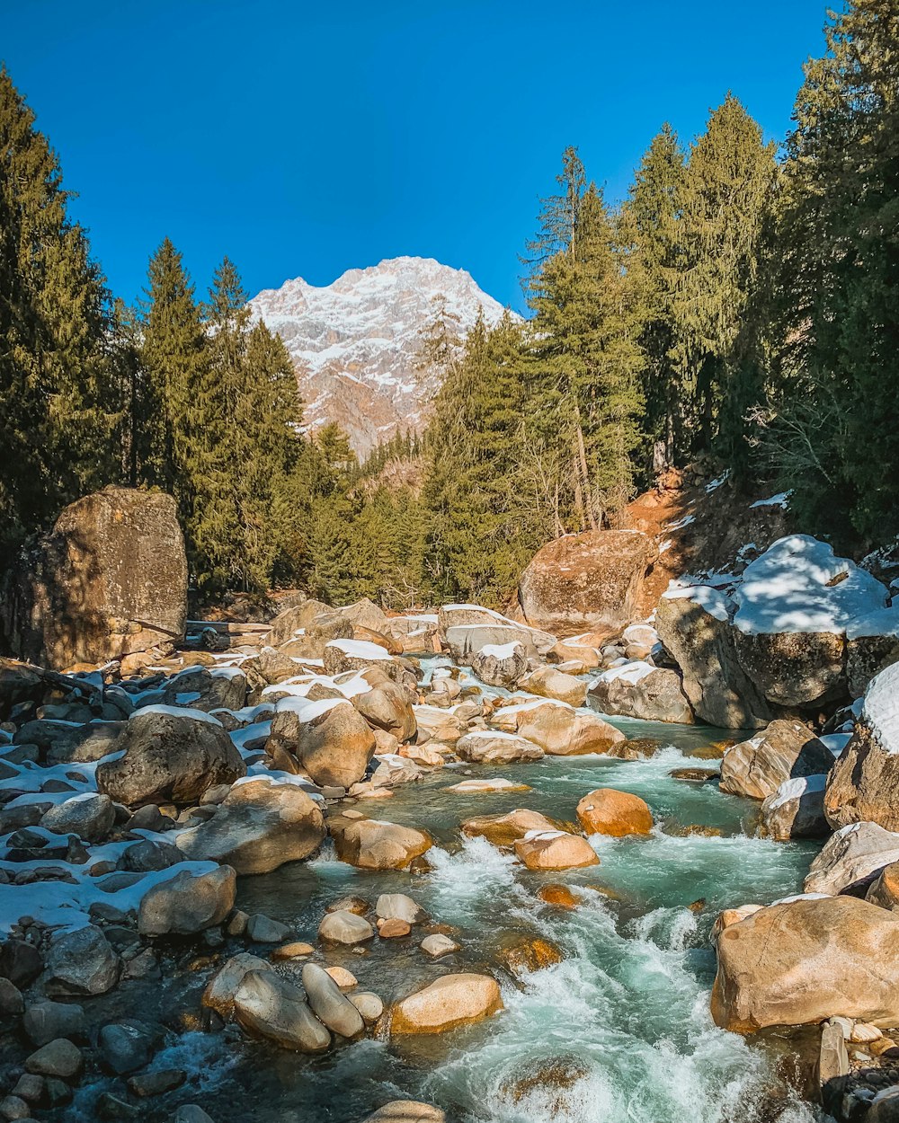 green trees near river under blue sky during daytime