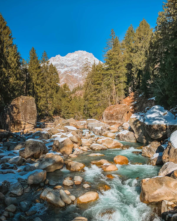 Green trees along a river in the Eastern Himalayas