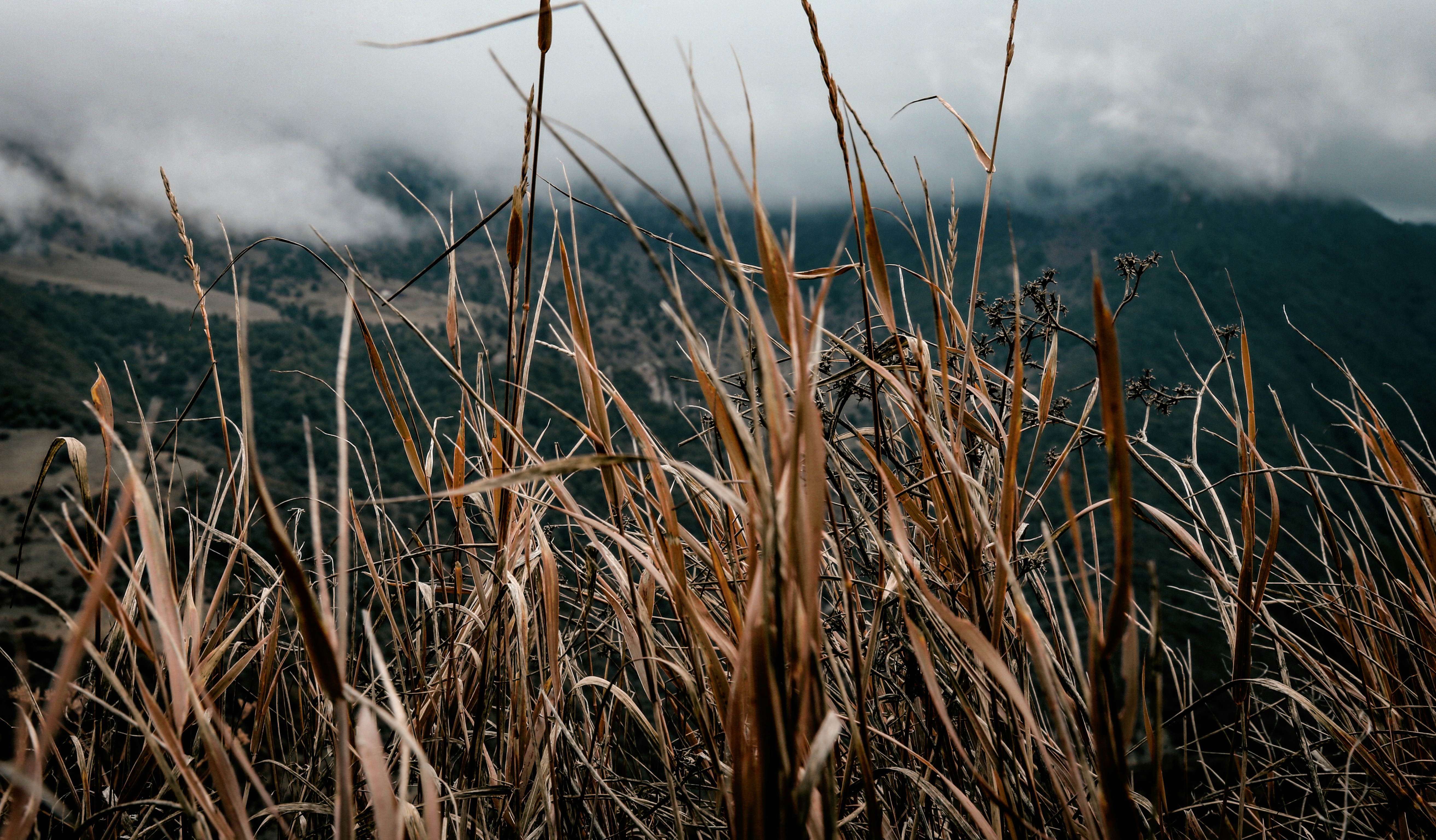 Photo by amirrzolfaqari