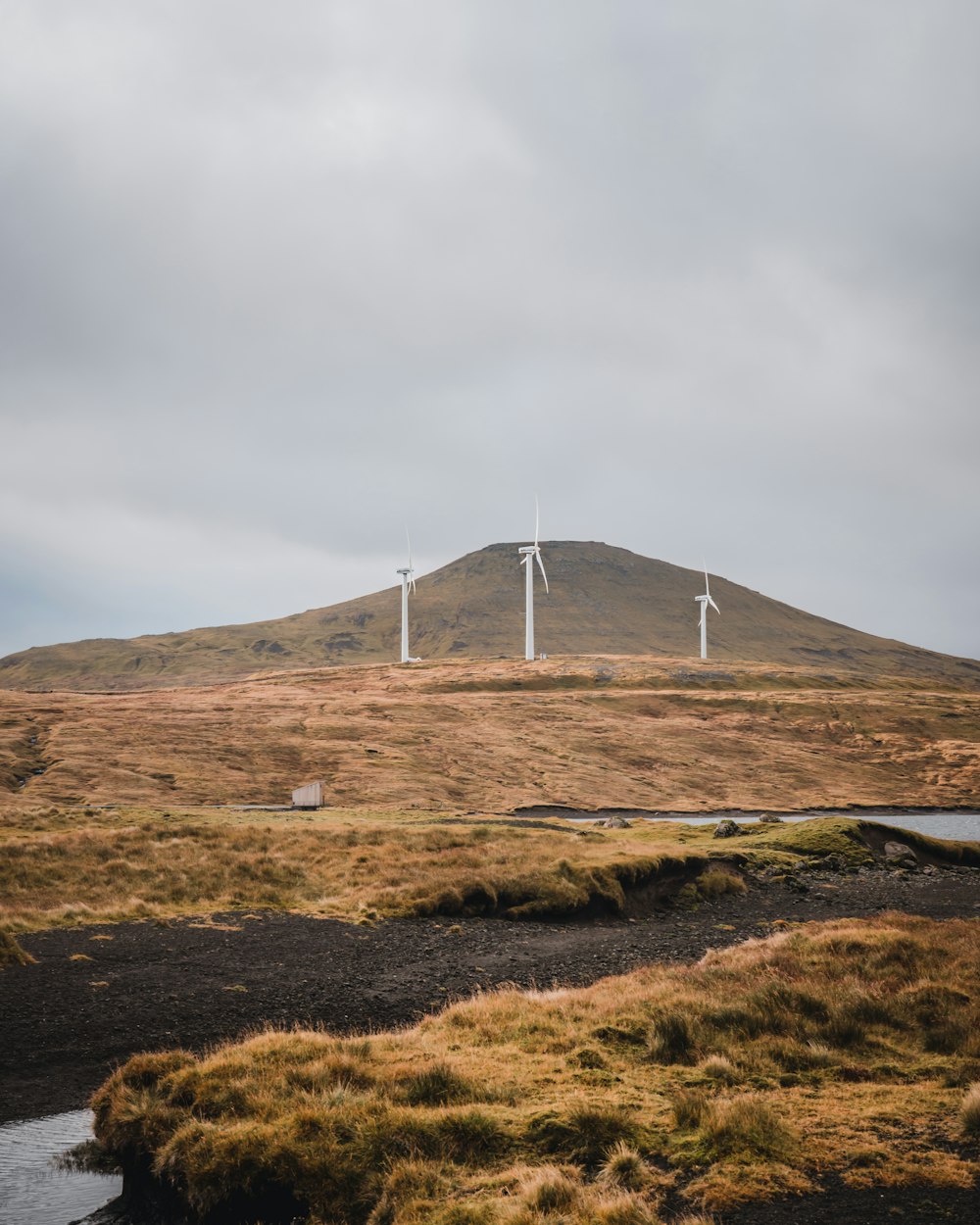 a group of wind turbines on a hill