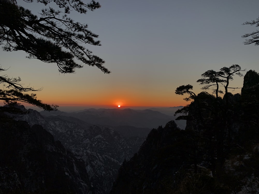 silhouette of trees on mountain during sunset