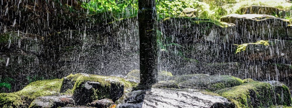 water falls on brown tree trunk