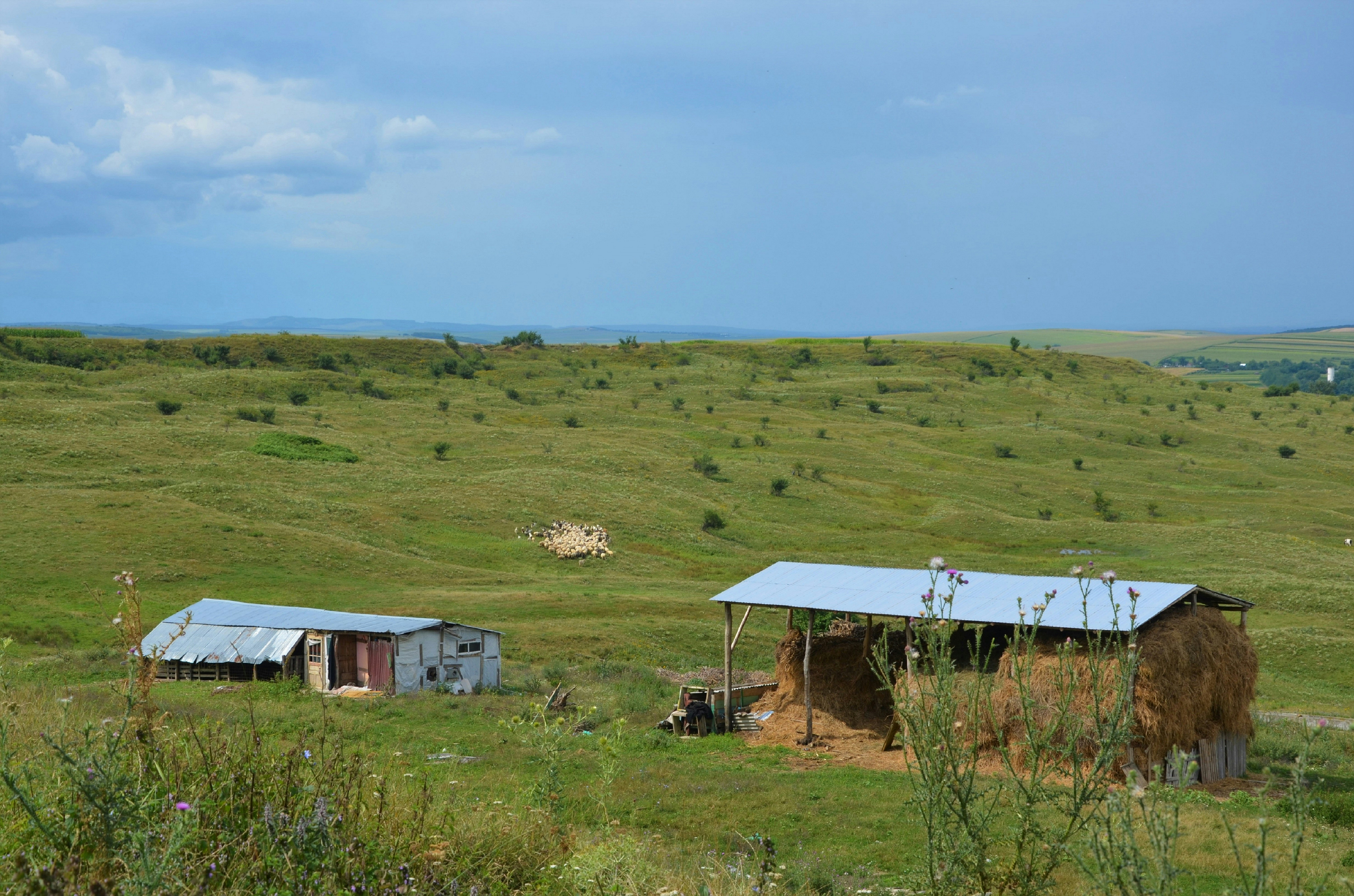 Semaglutide in Rural Retreat, VA: A Local Guide to GLP-1 Weight-Loss Care and Online Options