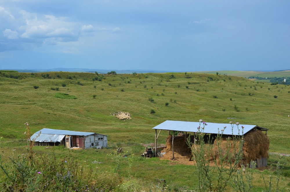 white and blue wooden house on green grass field during daytime