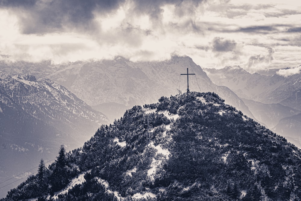 snow covered trees and mountains during daytime