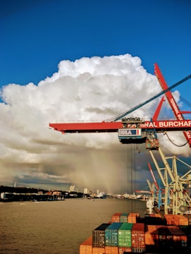 red and blue crane on body of water under blue sky during daytime