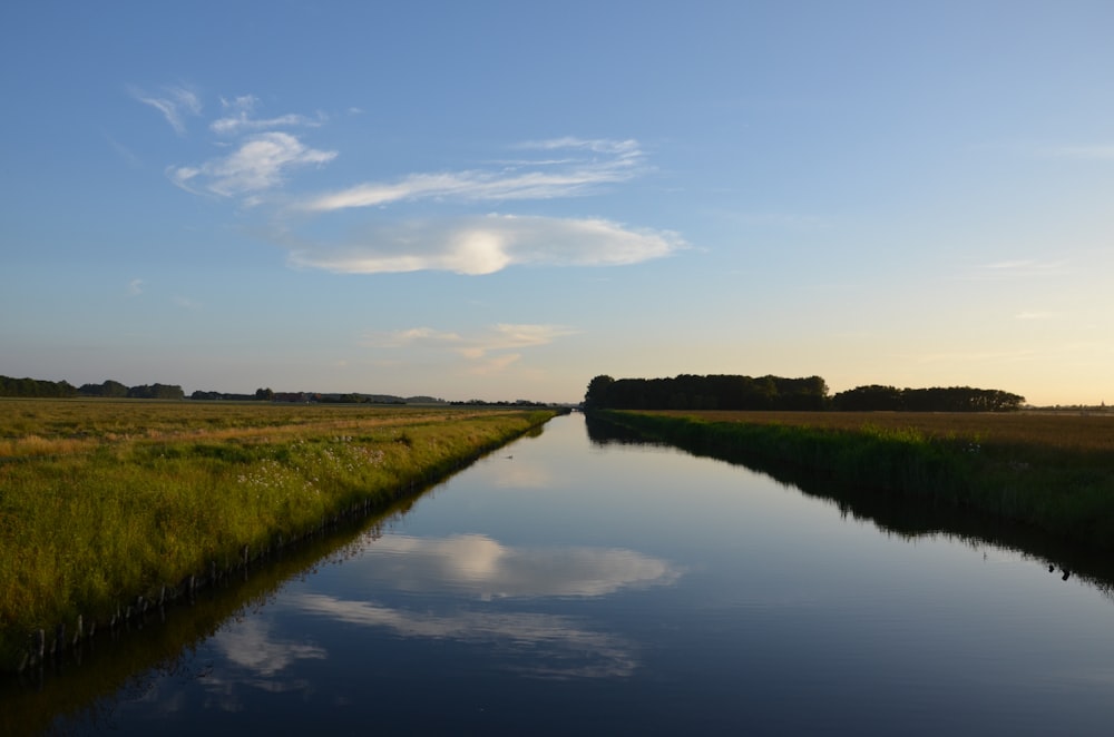 Campo de hierba verde al lado del río bajo el cielo azul durante el día