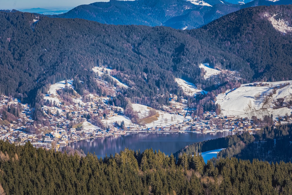 green trees near lake and mountains during daytime