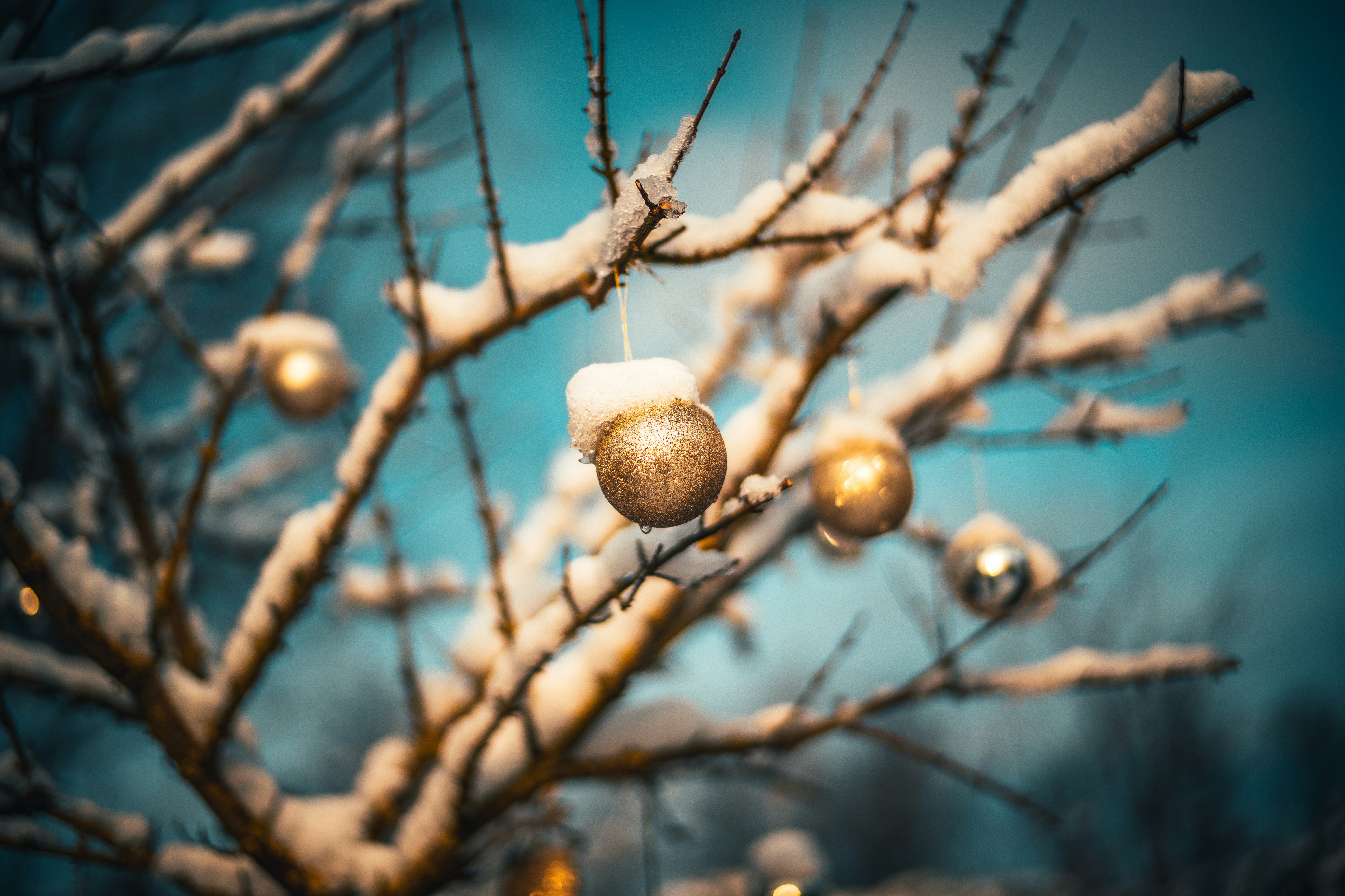 Photo by raimondklavins