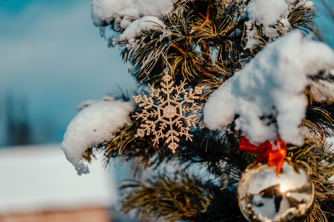 green pine tree covered with snow