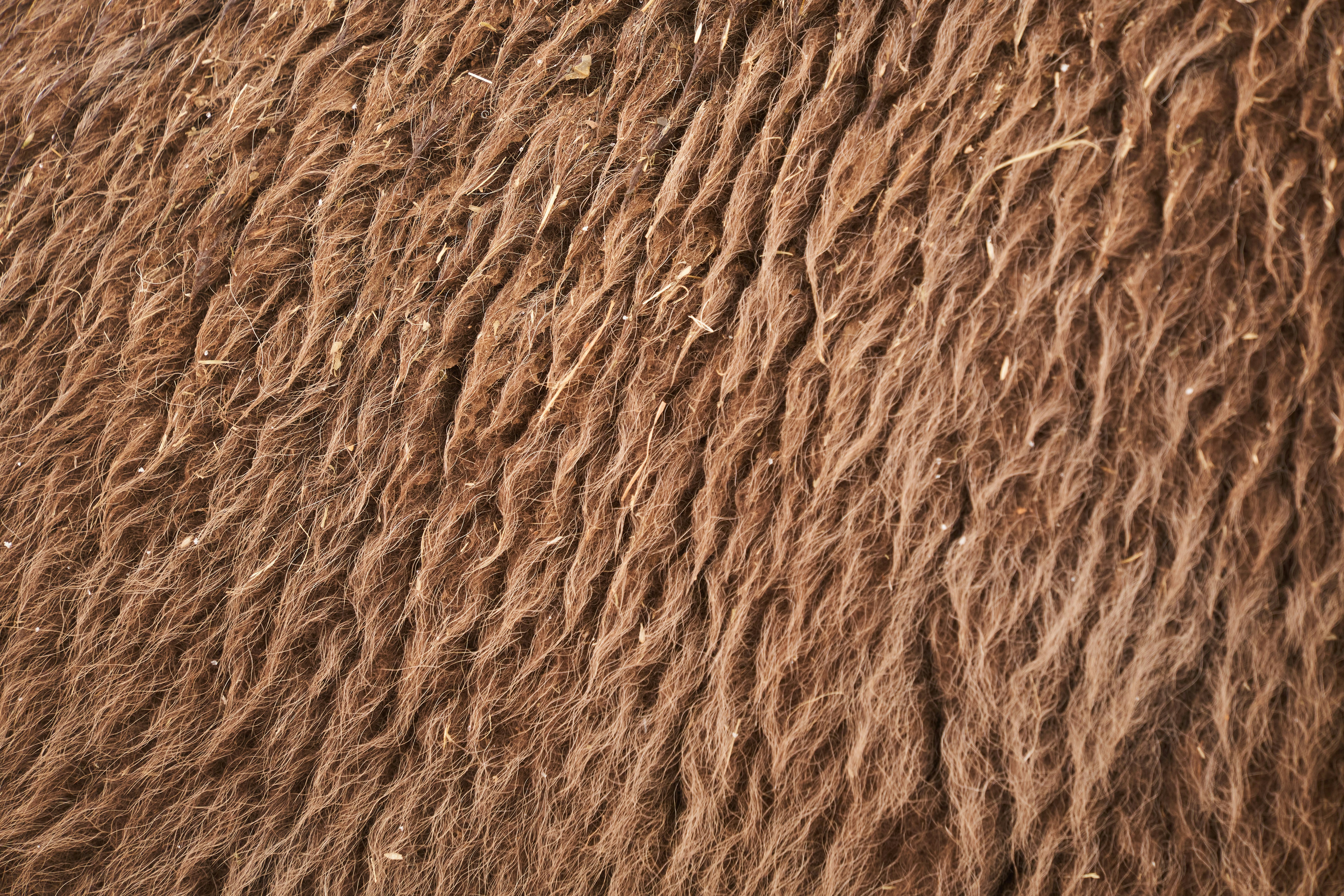 Photo by wolfgang_hasselmann