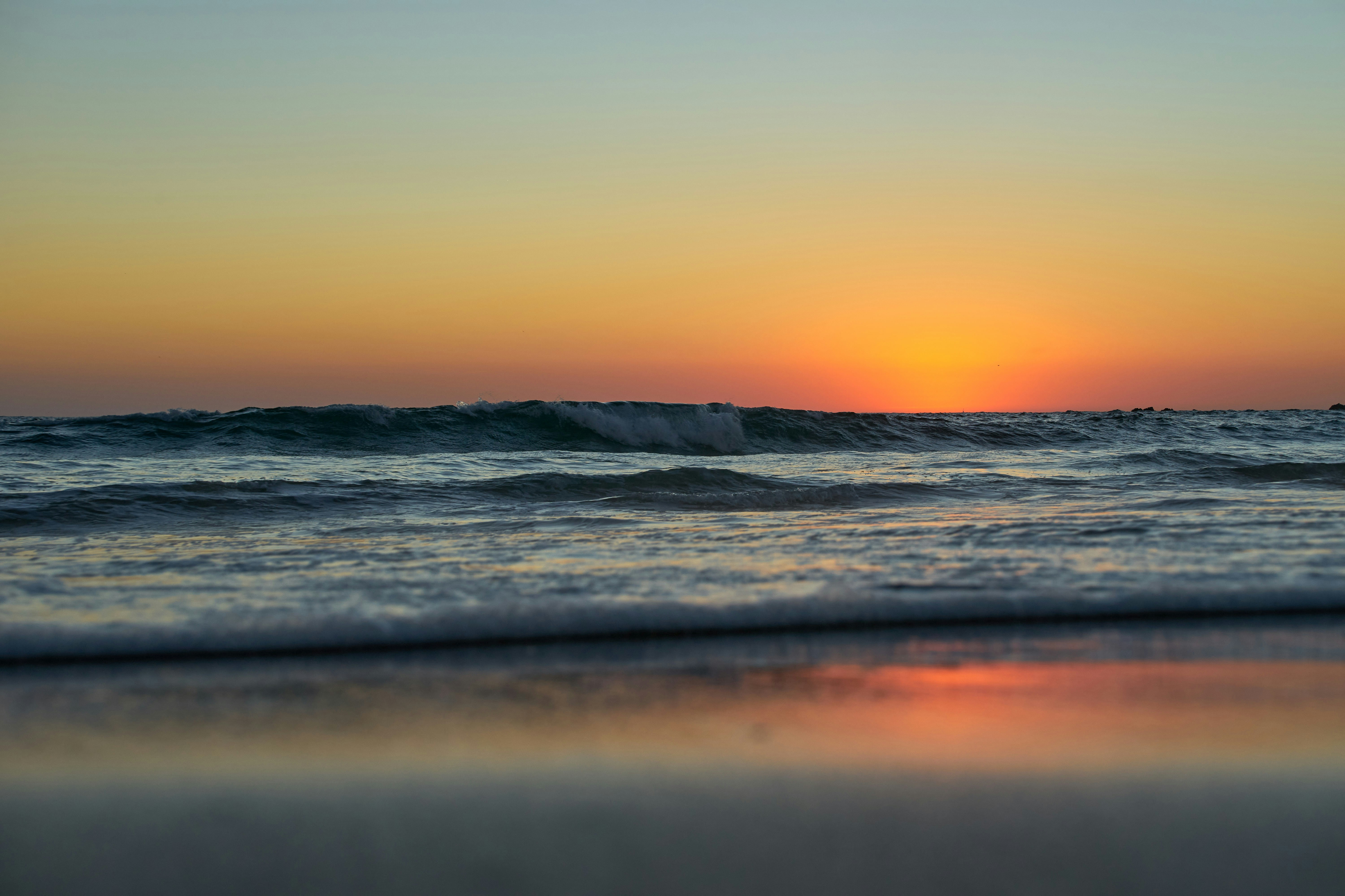 Photo by wolfgang_hasselmann