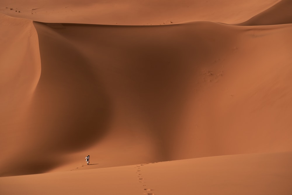 검은 셔츠를 입은 사람이 모래 위를 걷고 있다.
