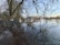 A flooded area where water has overflowed onto a path lined with a metal fence and large trees. A boat is moored nearby, surrounded by water and bare tree branches. The sky is clear, creating reflections in the water.