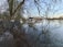 A flooded area where water has overflowed onto a path lined with a metal fence and large trees. A boat is moored nearby, surrounded by water and bare tree branches. The sky is clear, creating reflections in the water.