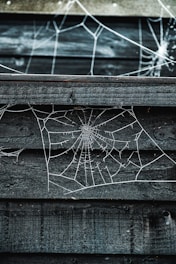 An intricate spider web is woven across a rough, dark wooden surface. The structure of the web is highly detailed, with a central point and radiating strands that create a geometric pattern. The contrast between the web's bright, white threads and the wooden background enhances its visibility.