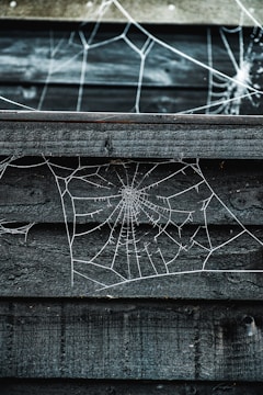 An intricate spider web is woven across a rough, dark wooden surface. The structure of the web is highly detailed, with a central point and radiating strands that create a geometric pattern. The contrast between the web's bright, white threads and the wooden background enhances its visibility.