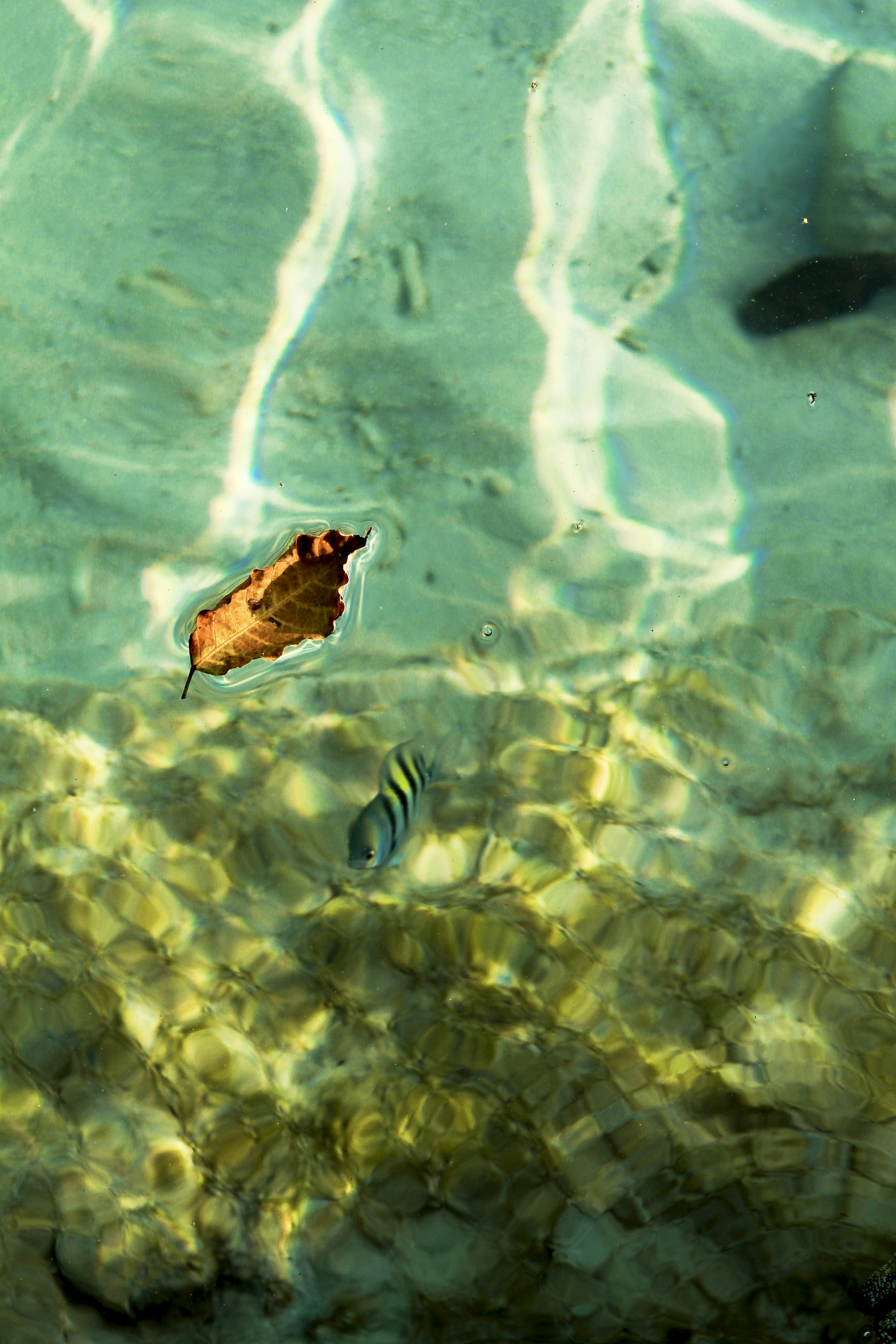 Photo by miguelsinisterra