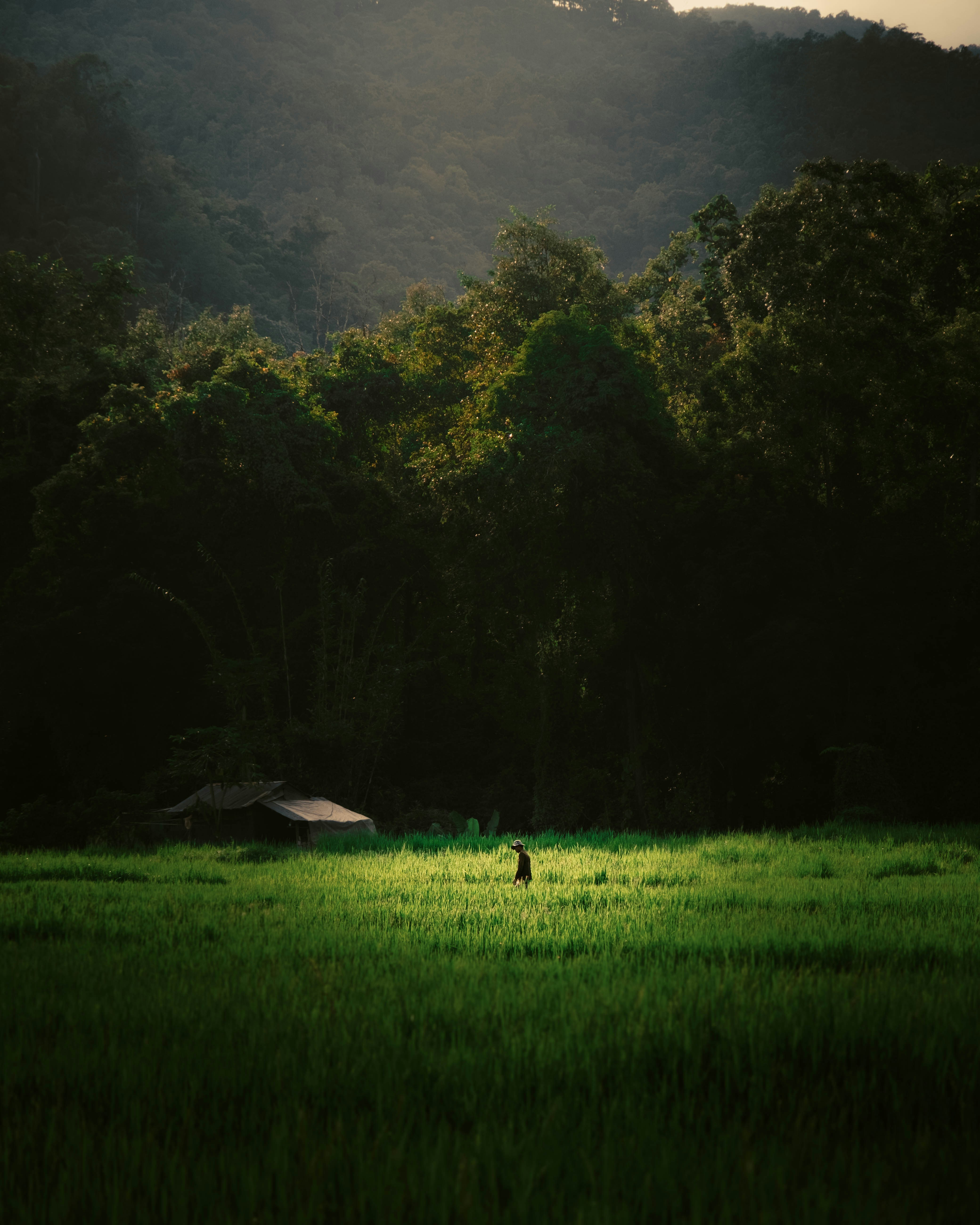 Photo by therealracim