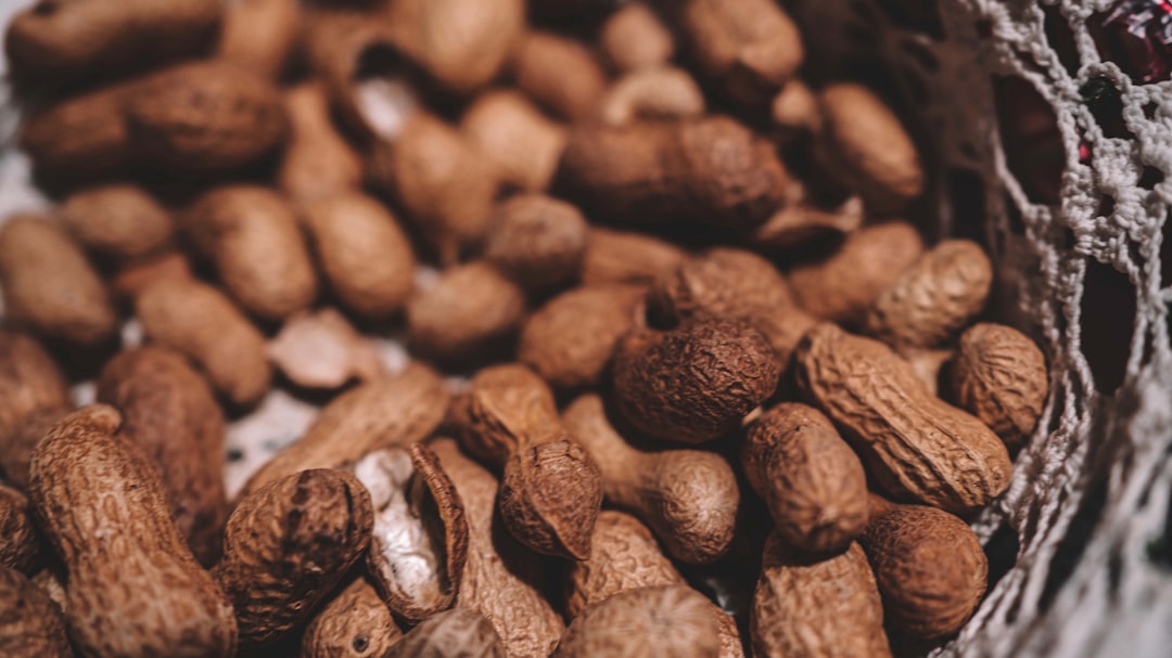 brown coffee beans in close up photography