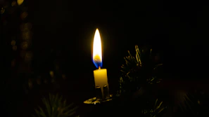Softly glowing candle nestled among olive green leaves on a wooden surface.
