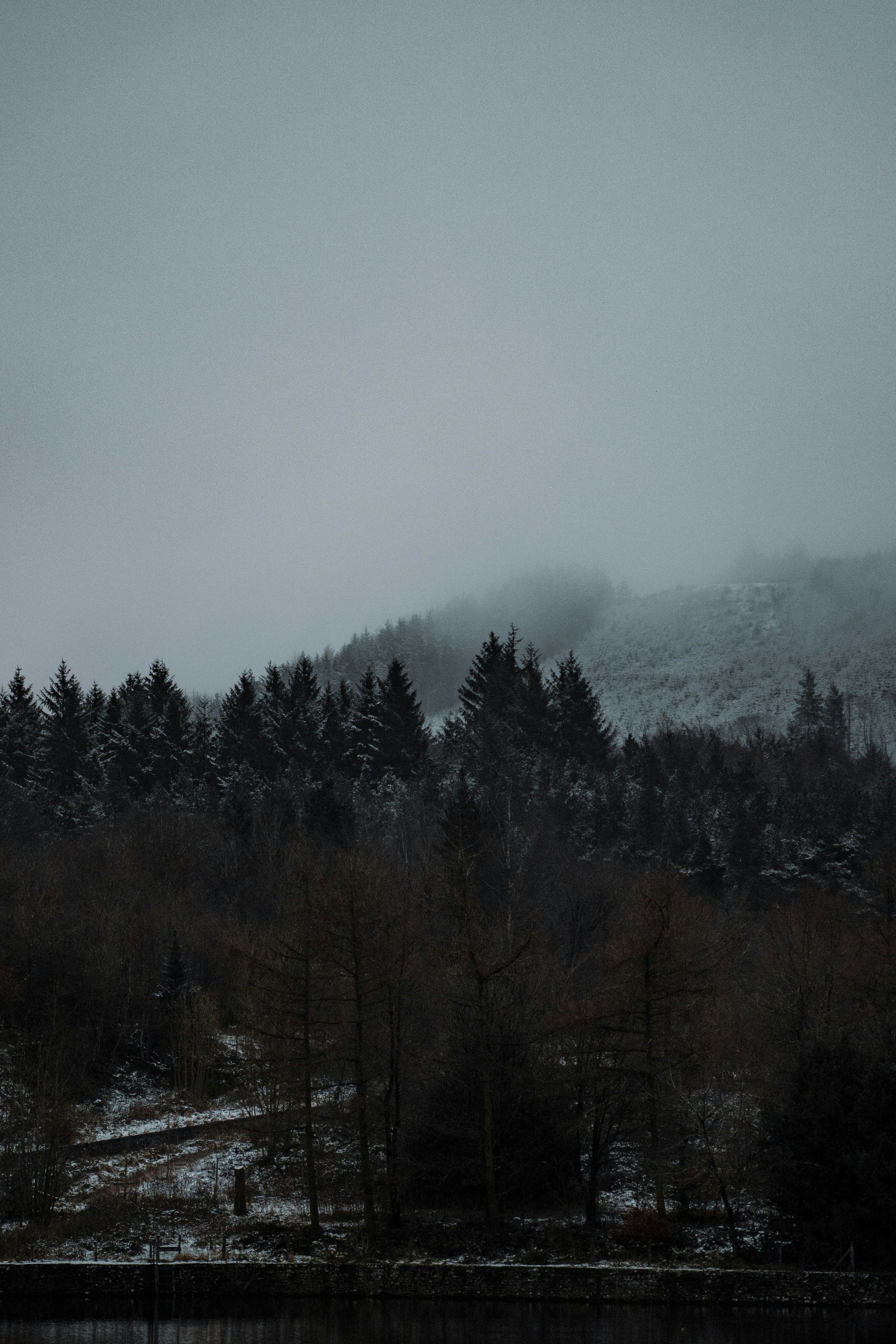 Photo by henry_ravenscroft_