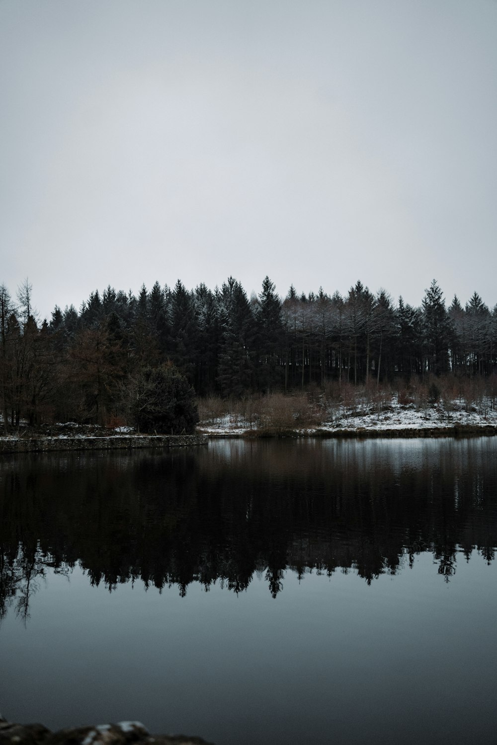 green trees beside lake under white sky during daytime