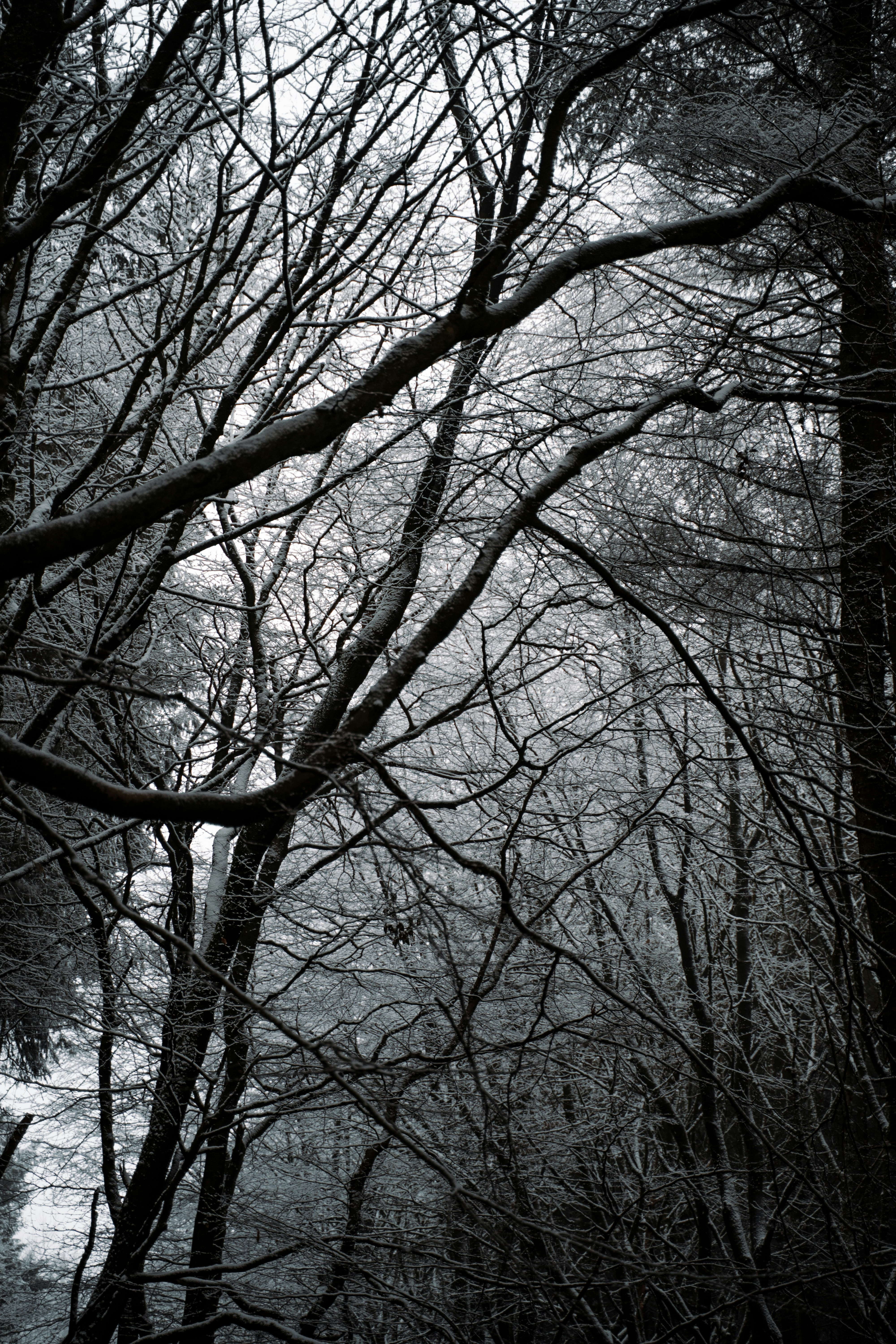 Photo by henry_ravenscroft_